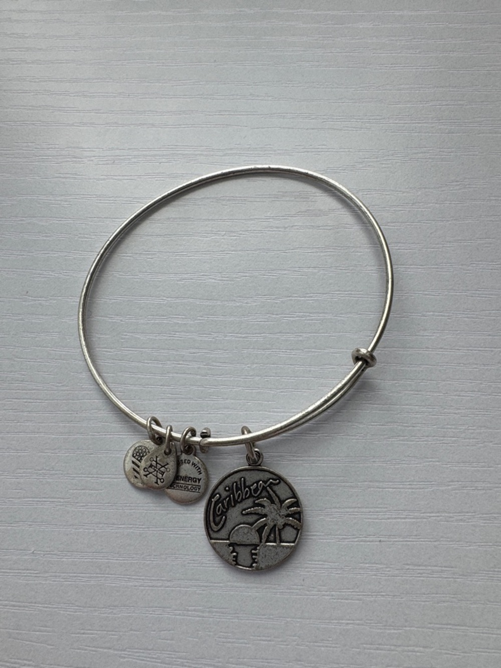 Alex and Ani - Silver Tone Charm Bangle Bracelet with Caribbean Palm Charm